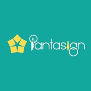 Renew Pantasign DSC With USB Token.