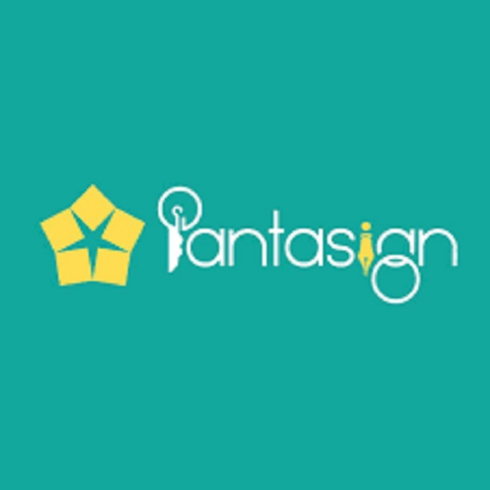 Buy Pantasign DSC With USB Token.